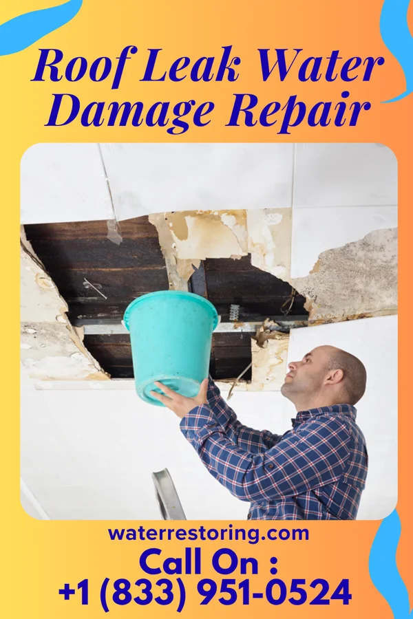 Roof Leak Water Damage Repair in Owen, WI