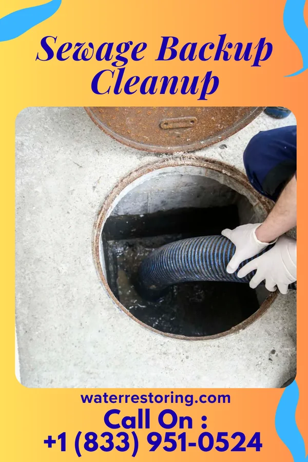 Sewage Backup Cleanup in Owen, WI