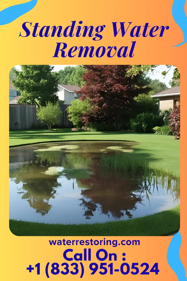 Standing Water Removal in Owen, WI